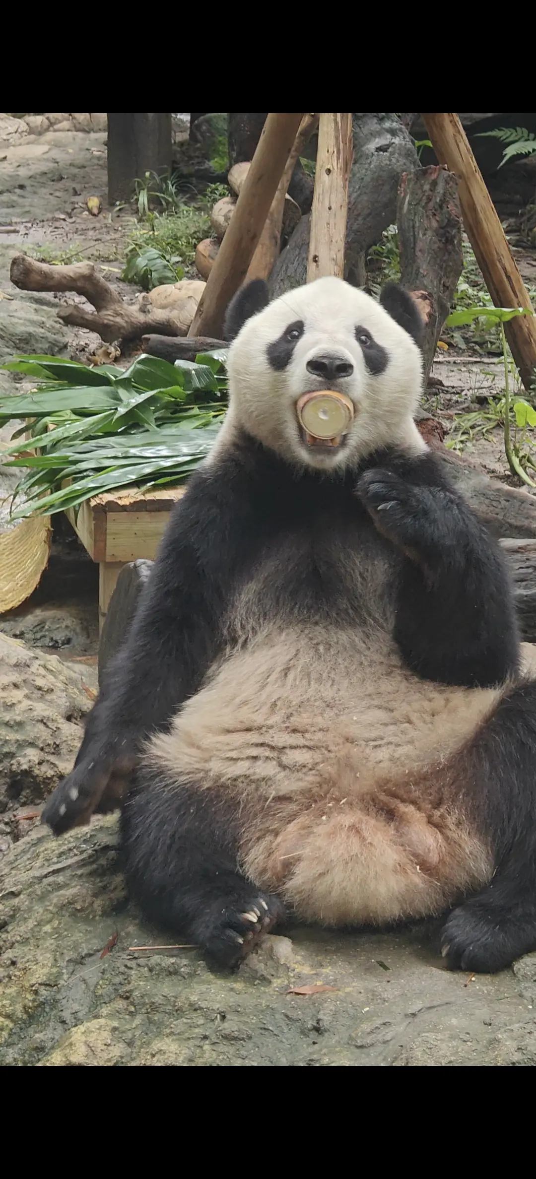 怎样拍都好看的亲亲。