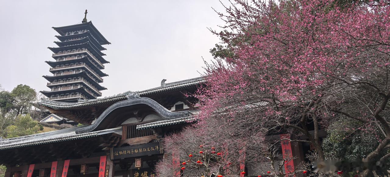 人间二月芳菲尽，山寺桃花已盛开