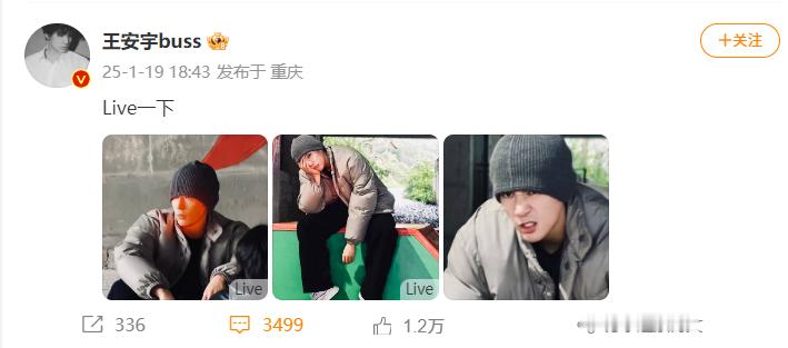 王安宇冷帽live  破碎小狗变奶凶小狗了[兔子] 