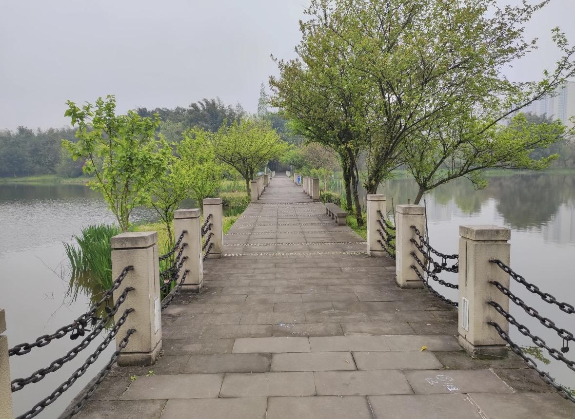 没有兄弟姐妹的人，老了真的更容易吃苦
我以前一直觉得，独生子女挺幸福的。
资源都