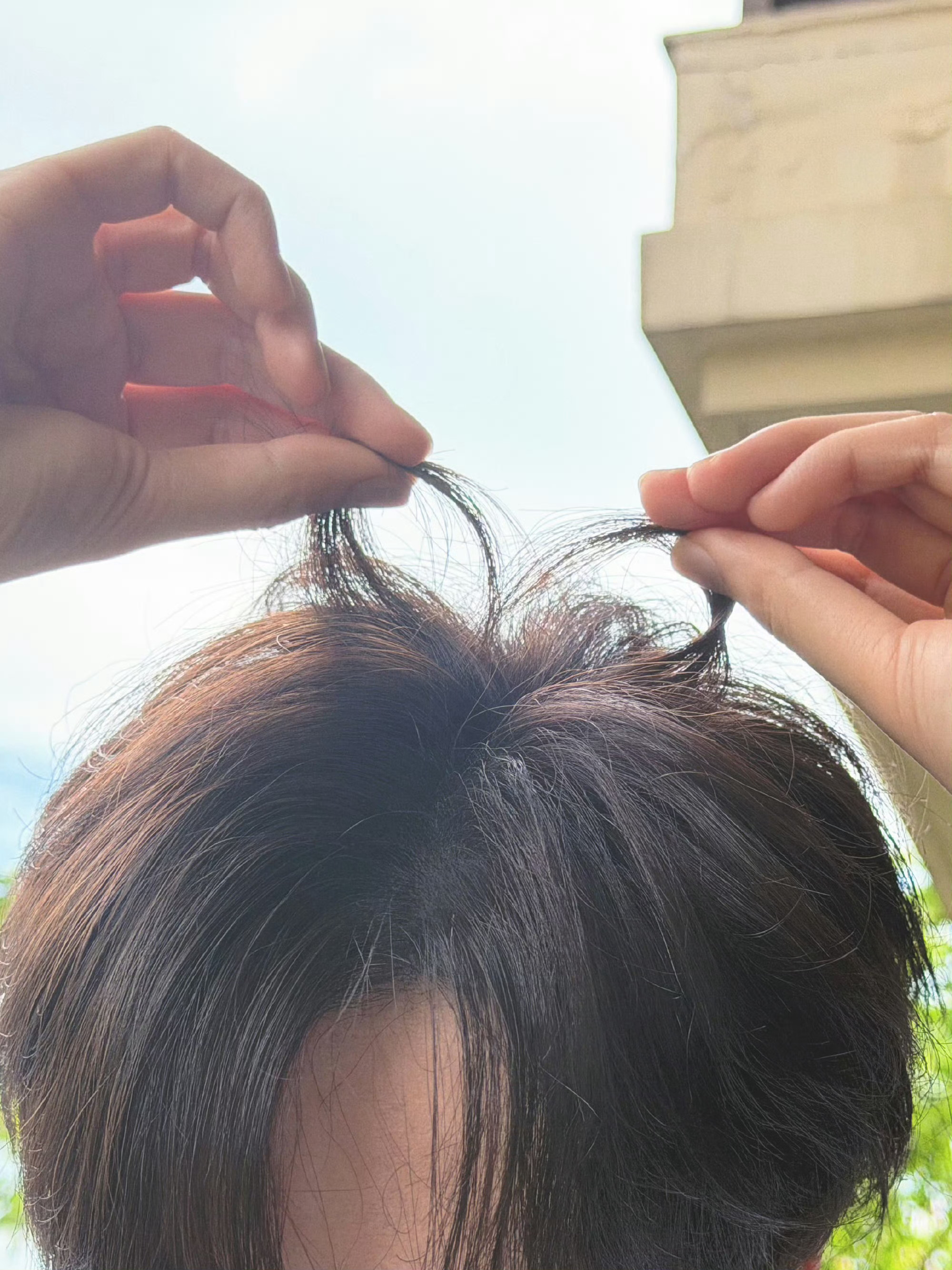 胡一天胡一天 天才女友 胡一天江逾白 星霜荏苒，居诸不息，愿来岁，云程发轫，万里