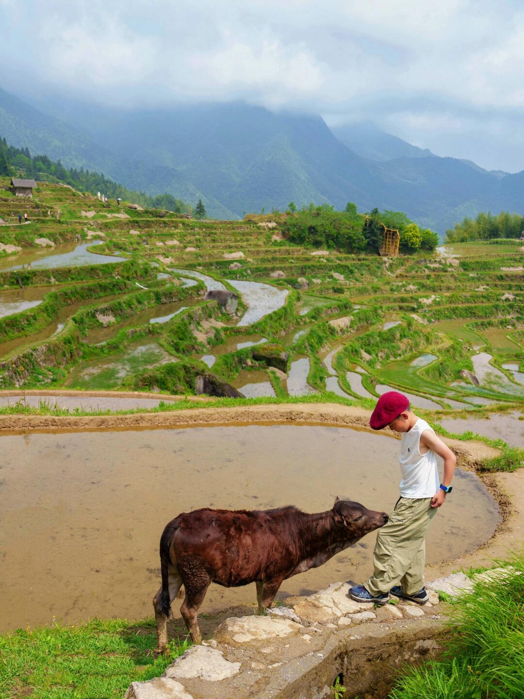 🚗2h丽水云和｜带孩子去看看大地的脉络