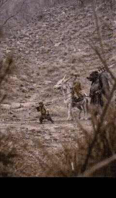 这是大概是真实《西游记》小说里的场景，影视剧应该都是被艺术加工过了的。
西游记简