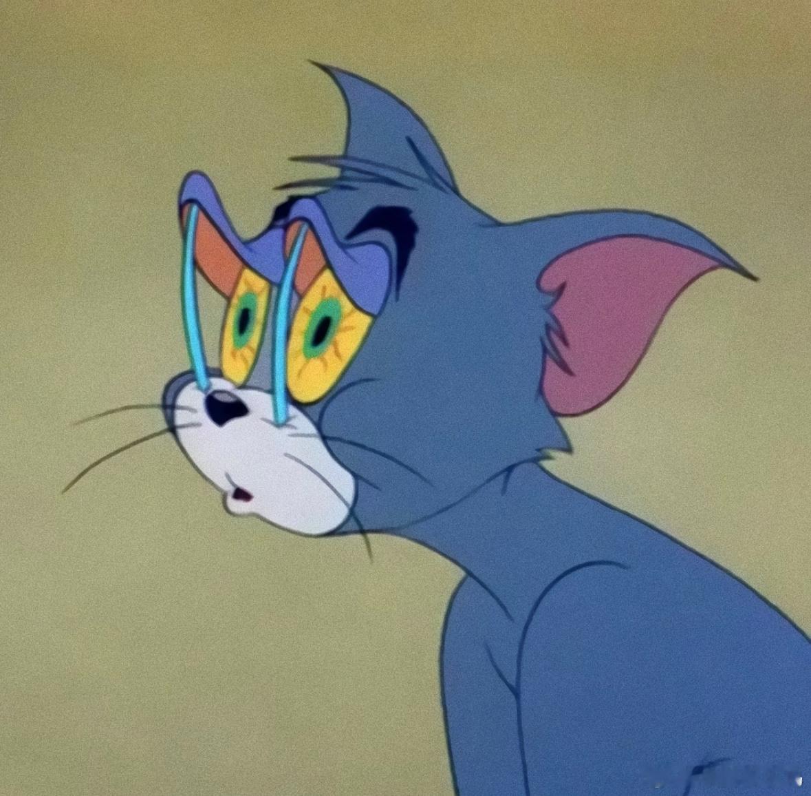 疯言鸟语 准备迁徙 回老家过年了七百公里  怕堵车 定了凌晨三点的闹钟