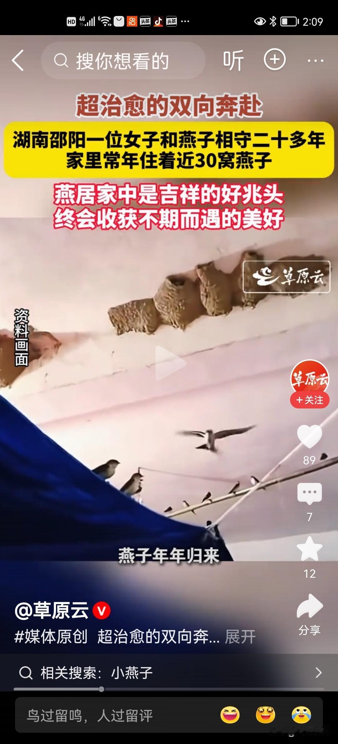 每早开门放鸟
女子家中住进30窝燕子，寓意美好，也是人与自然和谐共生的代表

湖