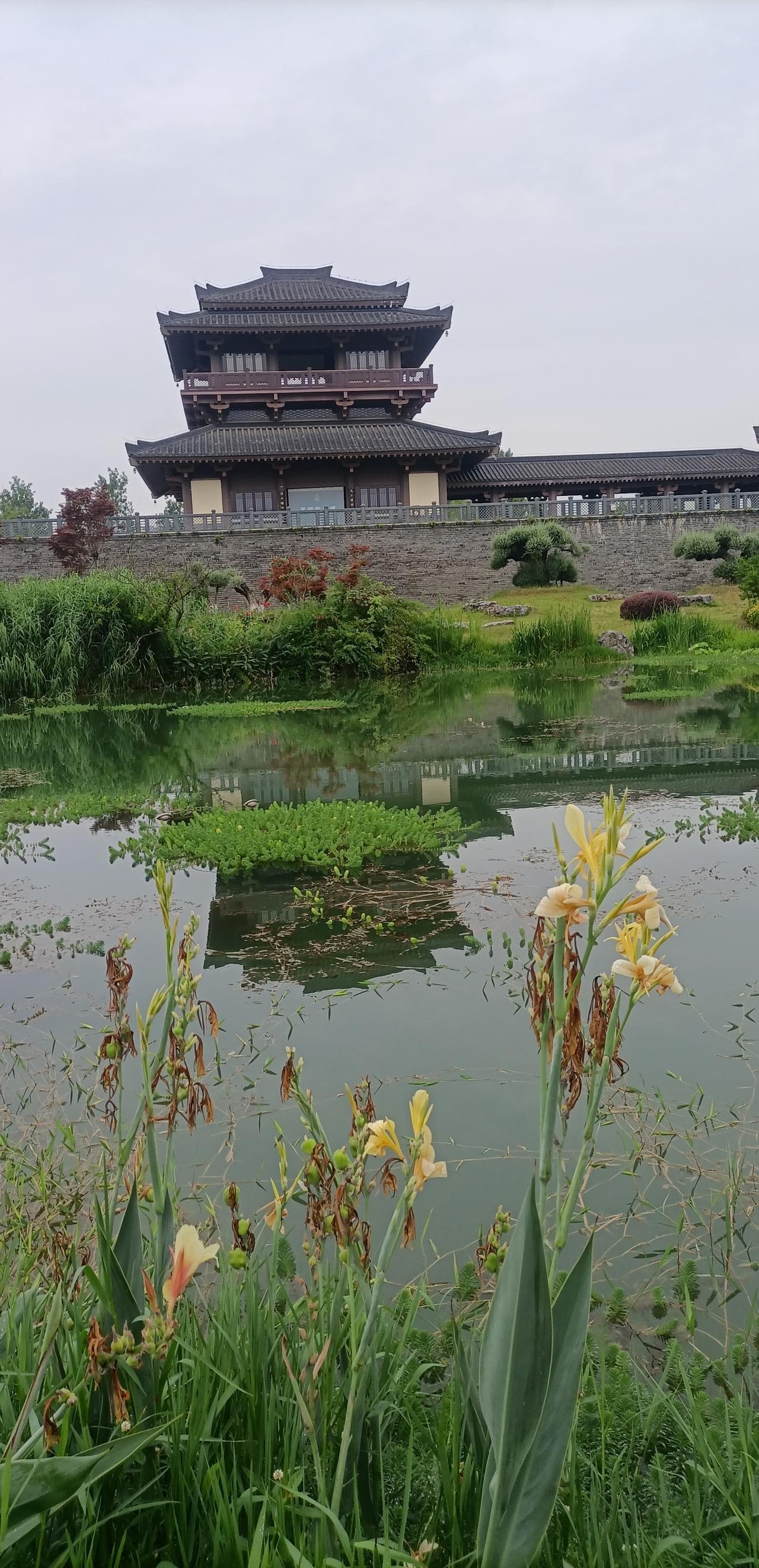【夏之韵·漫游天汉文化公园】记录我的2026
因为早上的雨很大，所以，跳舞健身活