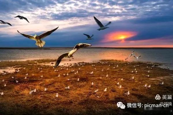 一汪碧水映斜阳
鳞波潋滟泛红光
美景惹得游人醉
———————