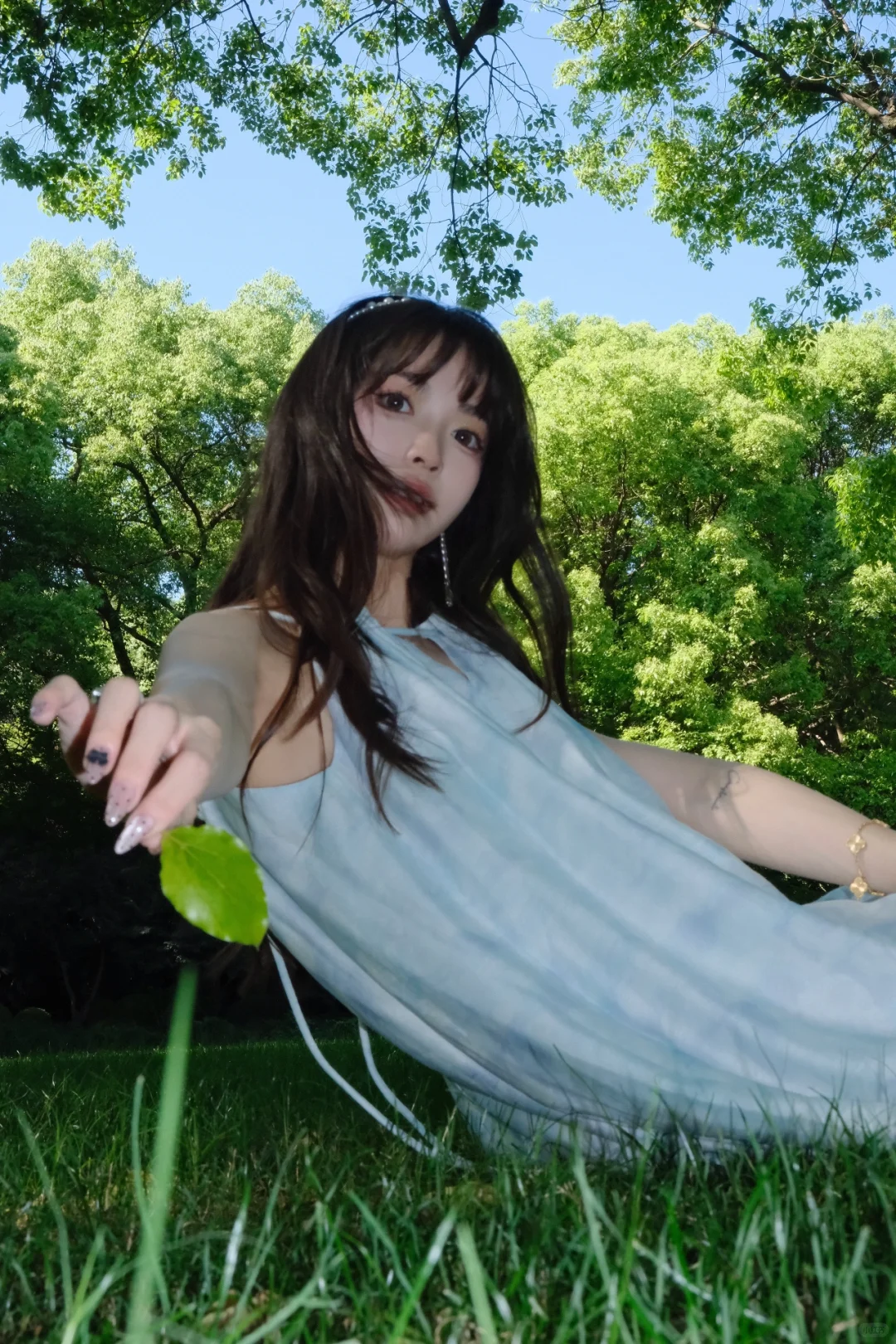 公园里◞🖼 ˖˚植物系𓂃🌳