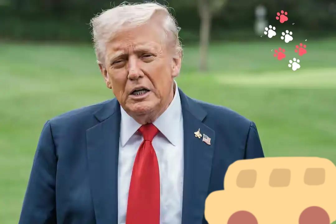 快讯快讯
美国联邦航空管理局（FAA）宣布！

当地时间11月5日，美国联邦航空