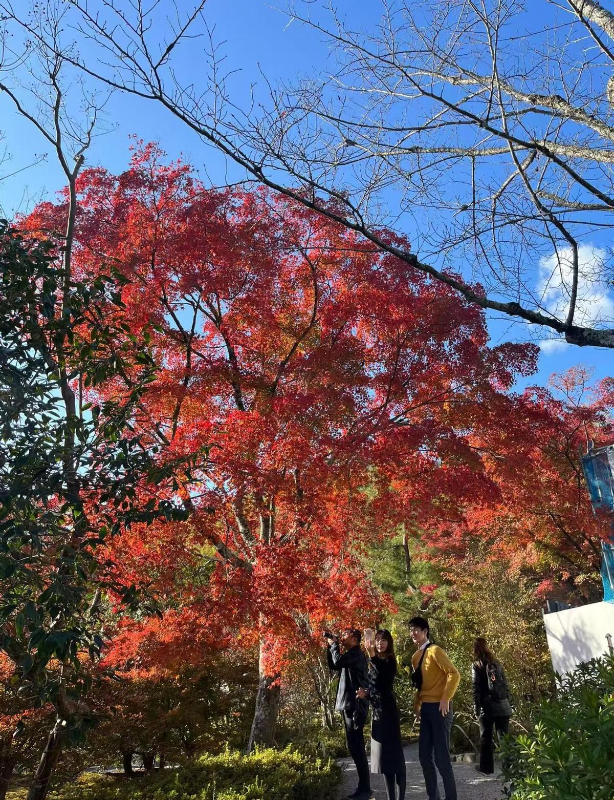这事儿有点意思，系统自己把自己整明白了。
不用谁管，局部互动就能出大招。
帕累托