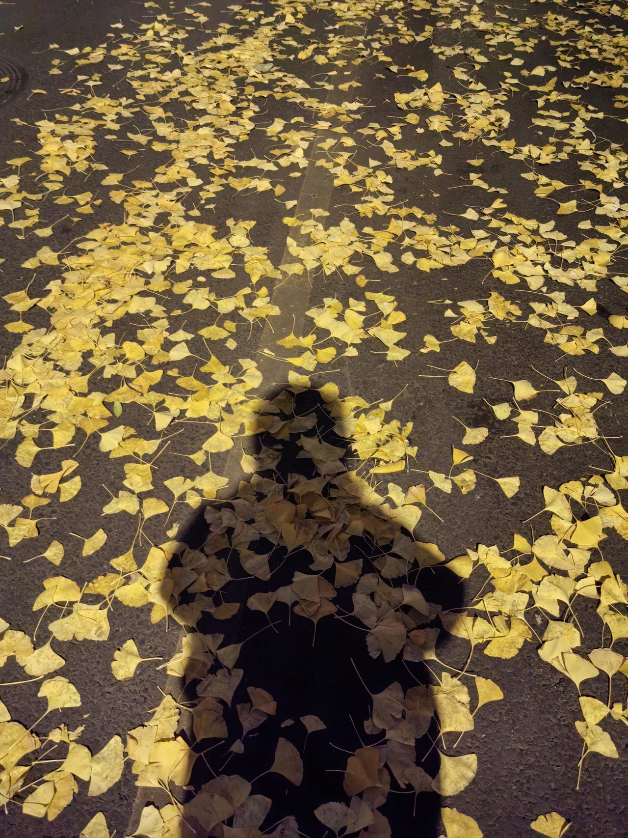 取消早晚自习呼声高的根源是，教育越来越卷，越改越卷。而且卷是以牺牲睡眠，牺牲身体