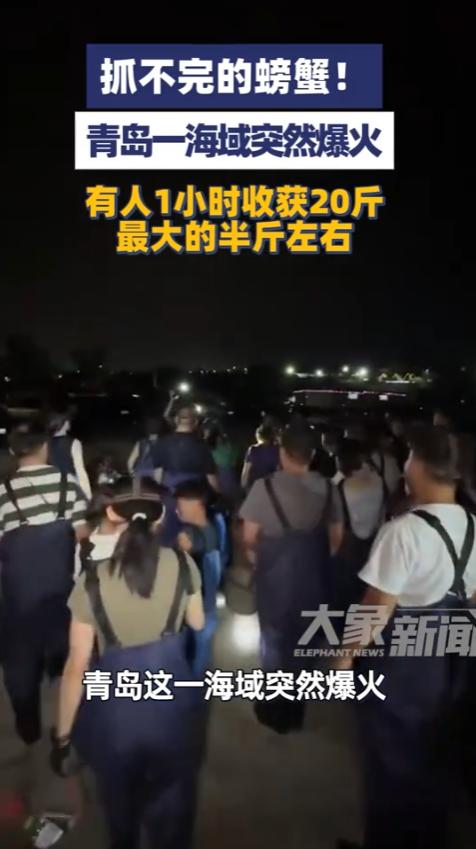 “这就是捡钱啊！”8月17日，山东青岛，一男子在海边温度升高后，带着50多个笼子