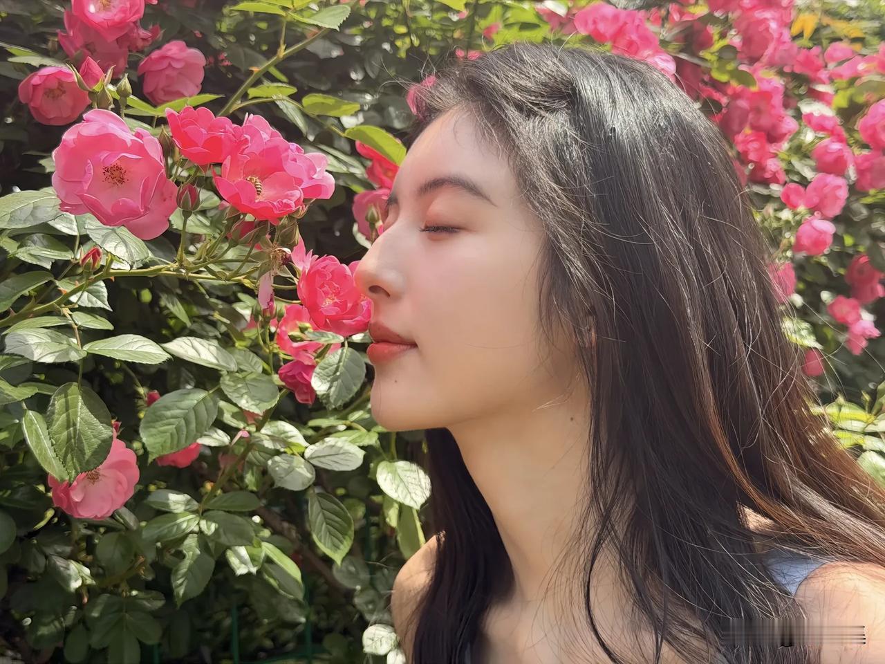 花园里的玫瑰花，氛围感拉满
