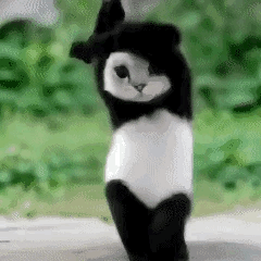 分享图片 