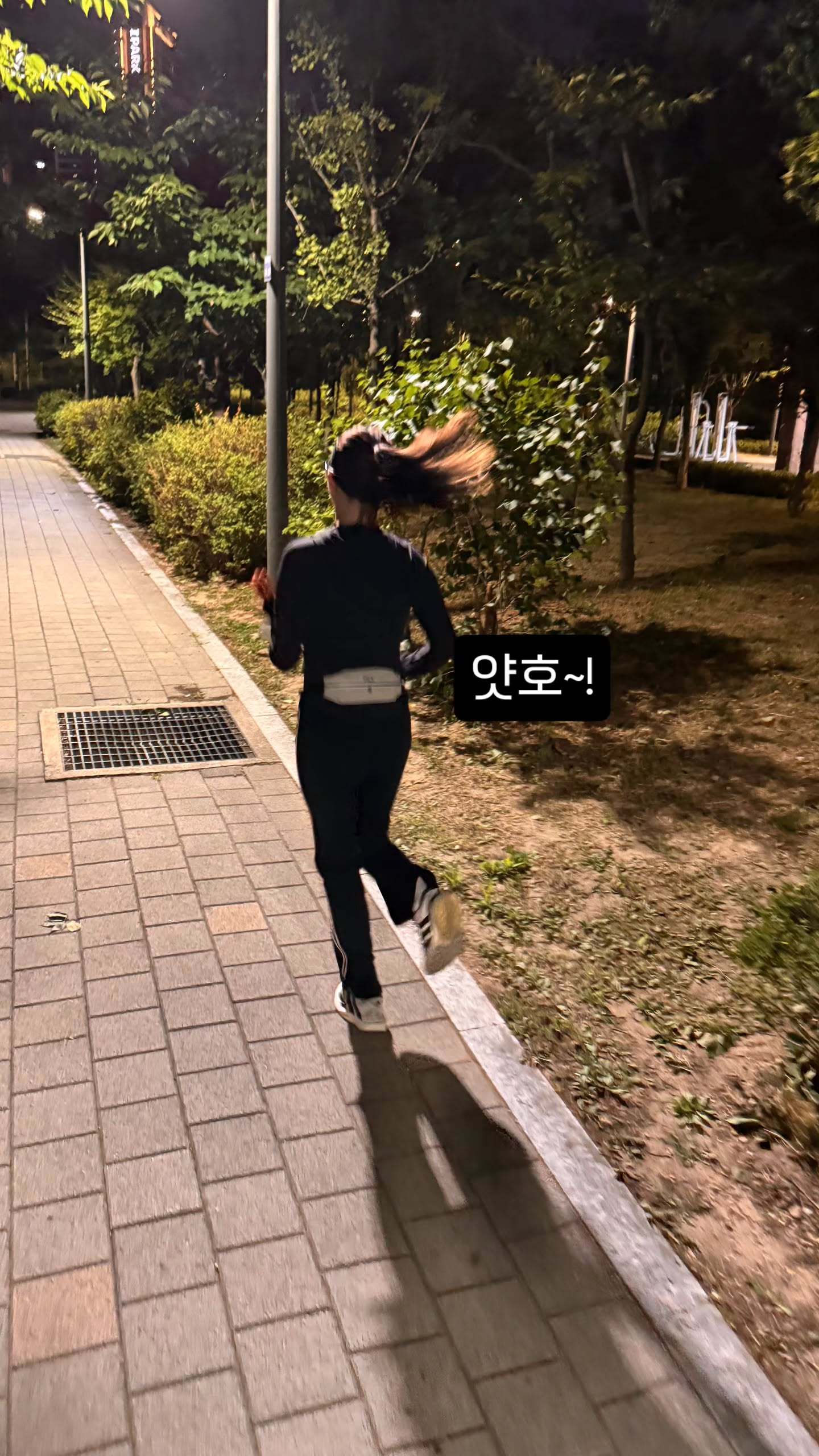 260613 jy_piece story 🐶 