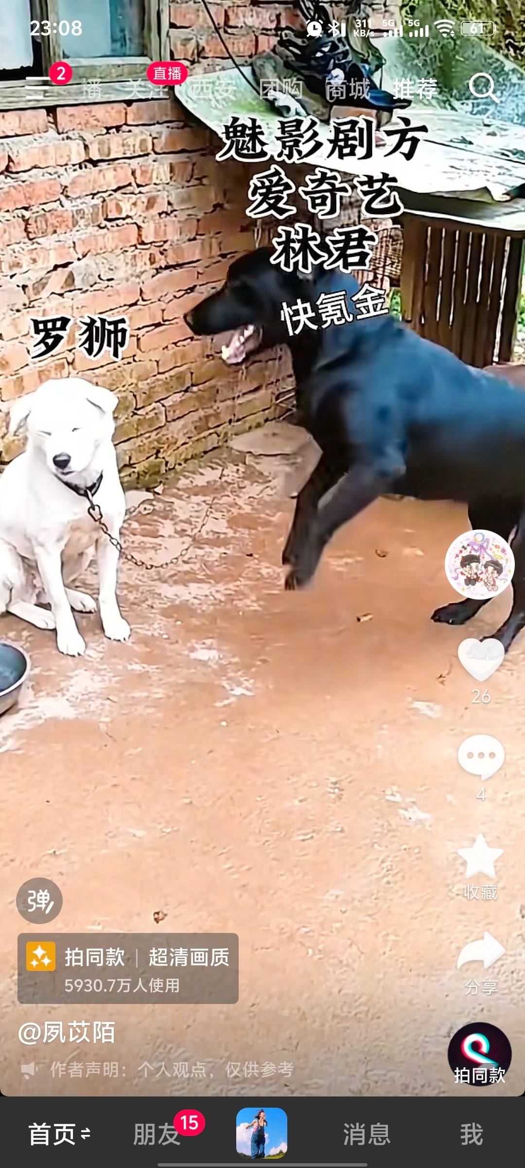 天啊，我和昱泥超爱的小众博主被你刷到了 ​​​