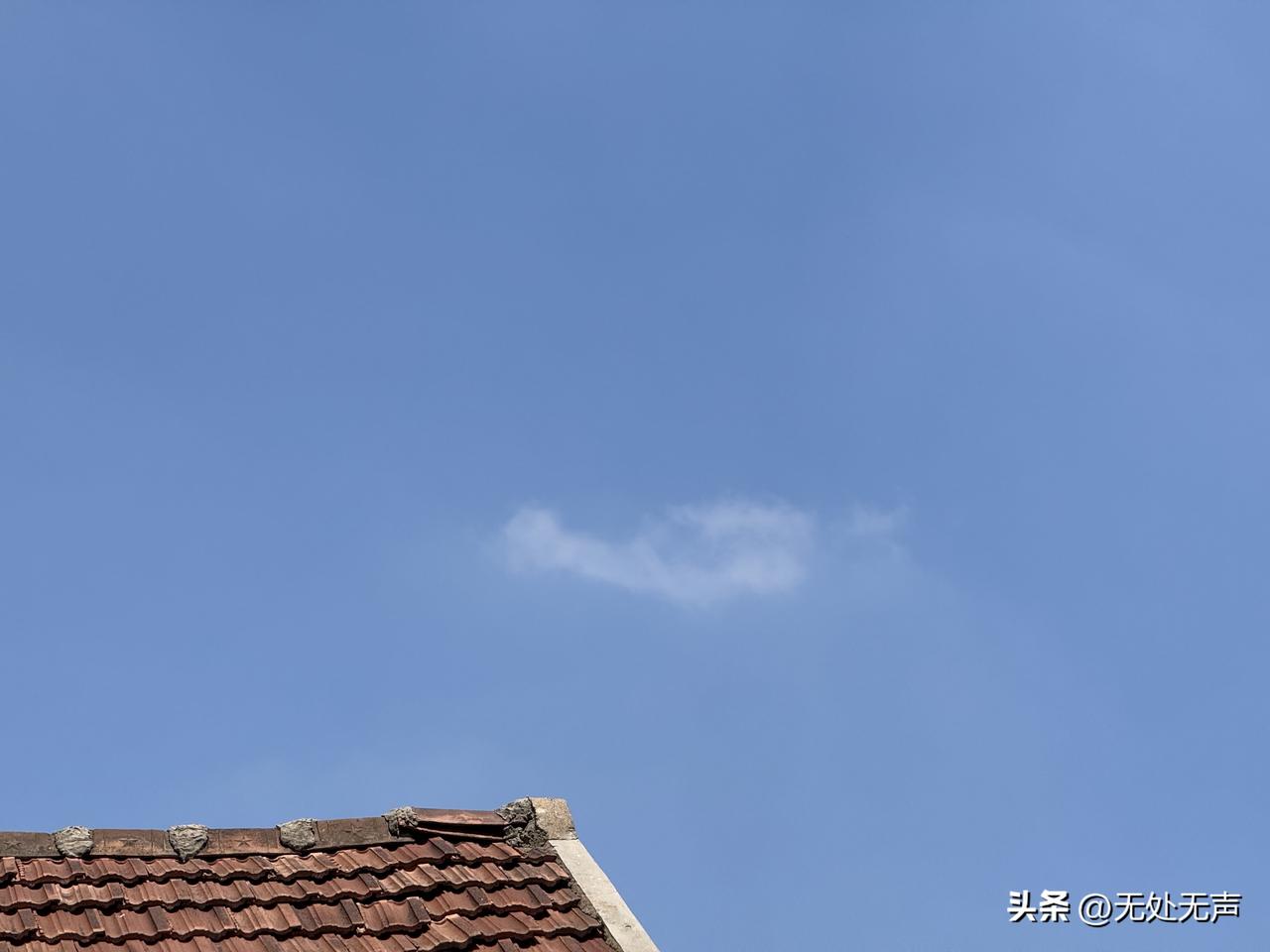 给自己一句话，你会说什么?
新的一岁，愿你平安顺遂，心里有光，眼里有笑，想要的都