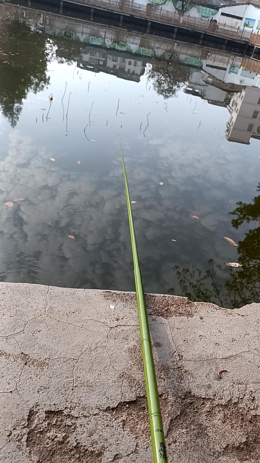 钓鱼，让我忘记很多烦心事，放空自己，一杆一水一天地。