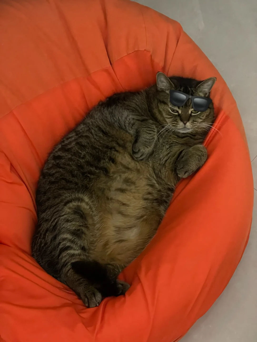 弟哥！还舒服吗？