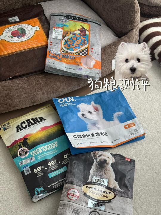 聊聊狗粮测评｜西高地小狗主食记录
