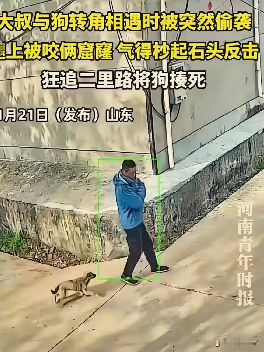 山东大叔追打恶犬：不拴绳之犬，咬伤路人，更碎了养宠人的“体面”

2025年11