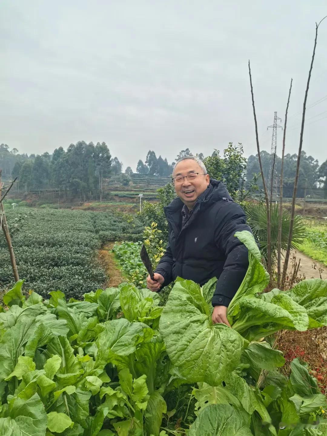 春节美食 白水煮青菜
大年初四（2月1号周六），天空不作美，阴沉沉的。按照事先安