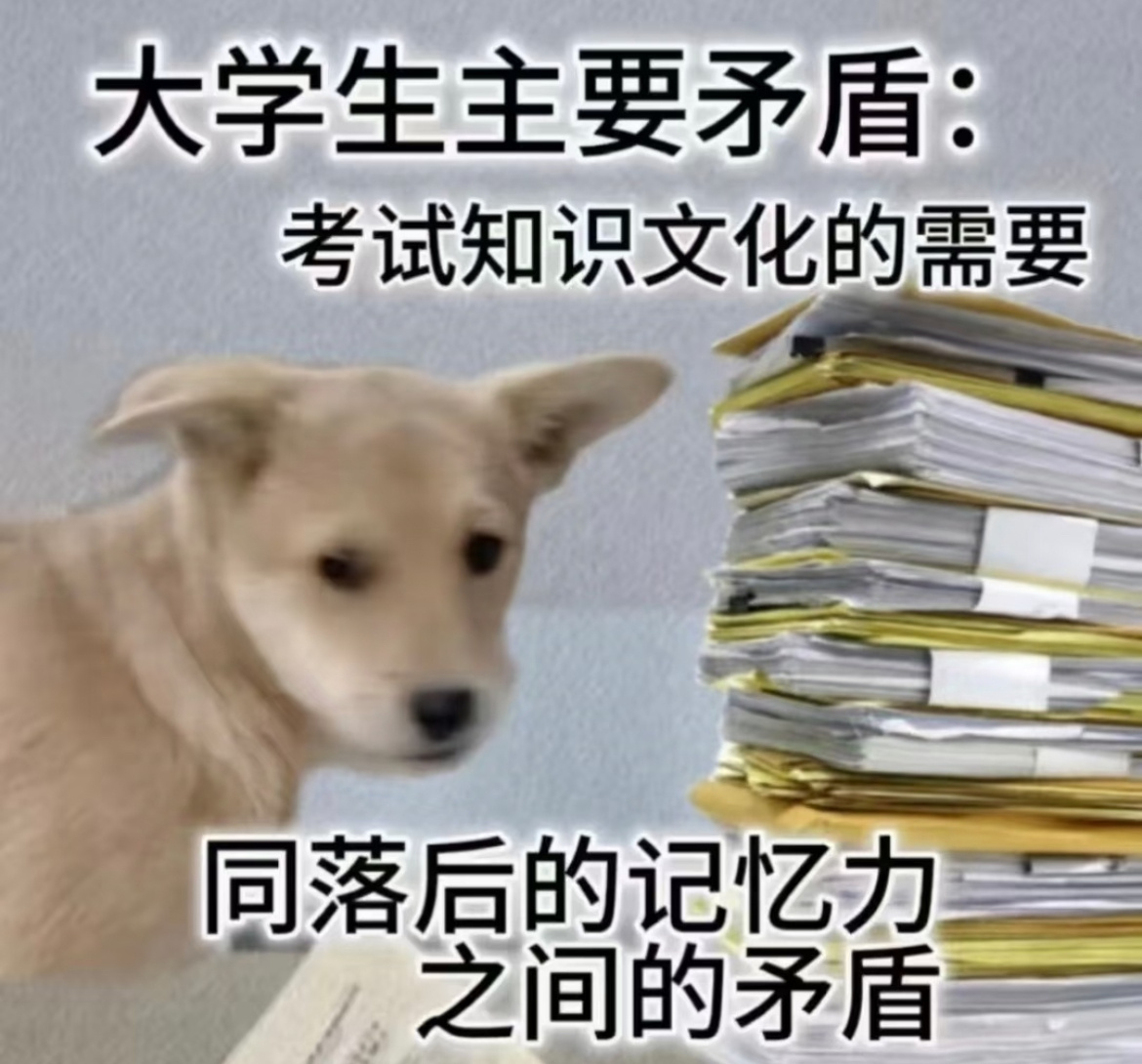复习备考状态拉满【一口脉动，状态拉满】期末学科破防名场面：题目看不懂、笔停在半空