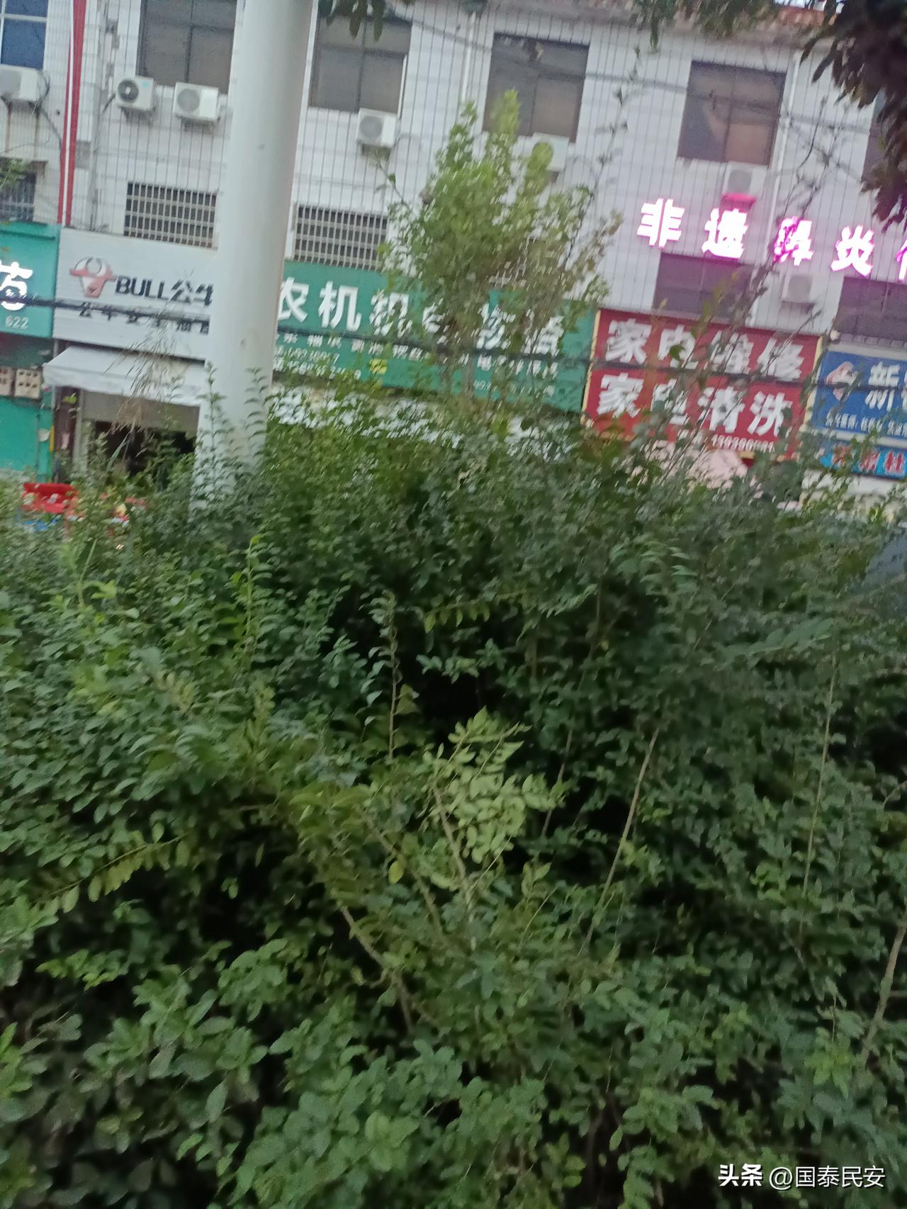 幸福从不是非此即彼的选择题：儿女是心底的暖光，能带来陪伴的温度与情感的归宿；金钱