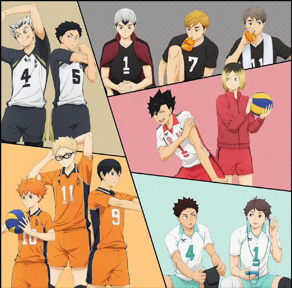 排球少年  最佳搭档 