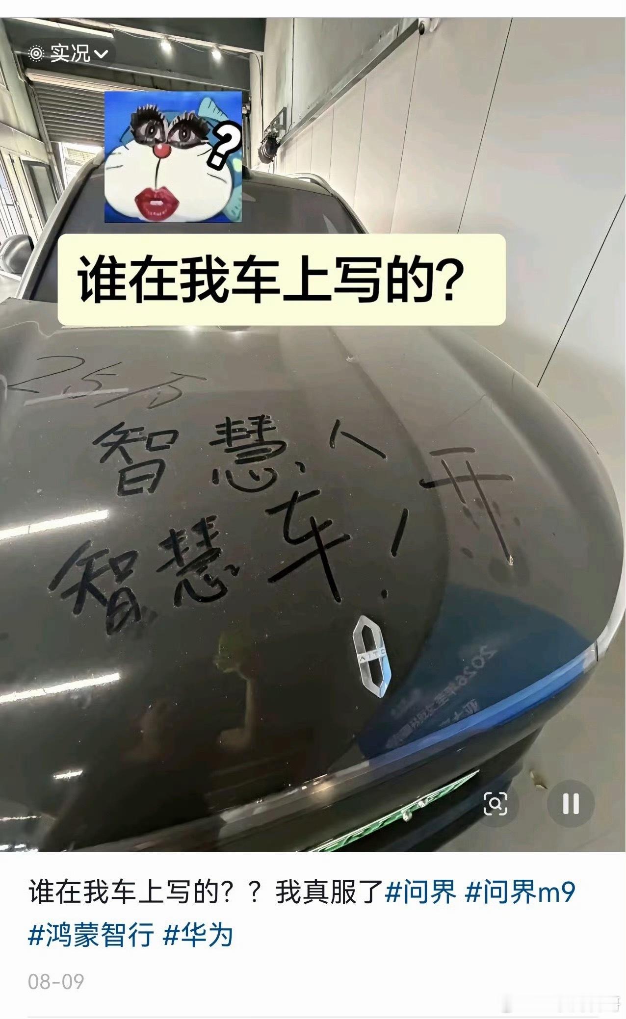 某群体的素质就是这么低，就是这么下作！打不过就对车主人身攻击了！ 