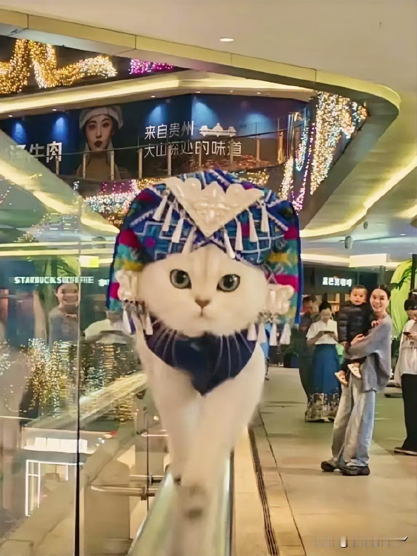 商场里的“民族风小主”太吸睛！

这只猫咪头戴精美民族银饰帽，迈着优雅的步伐，沿