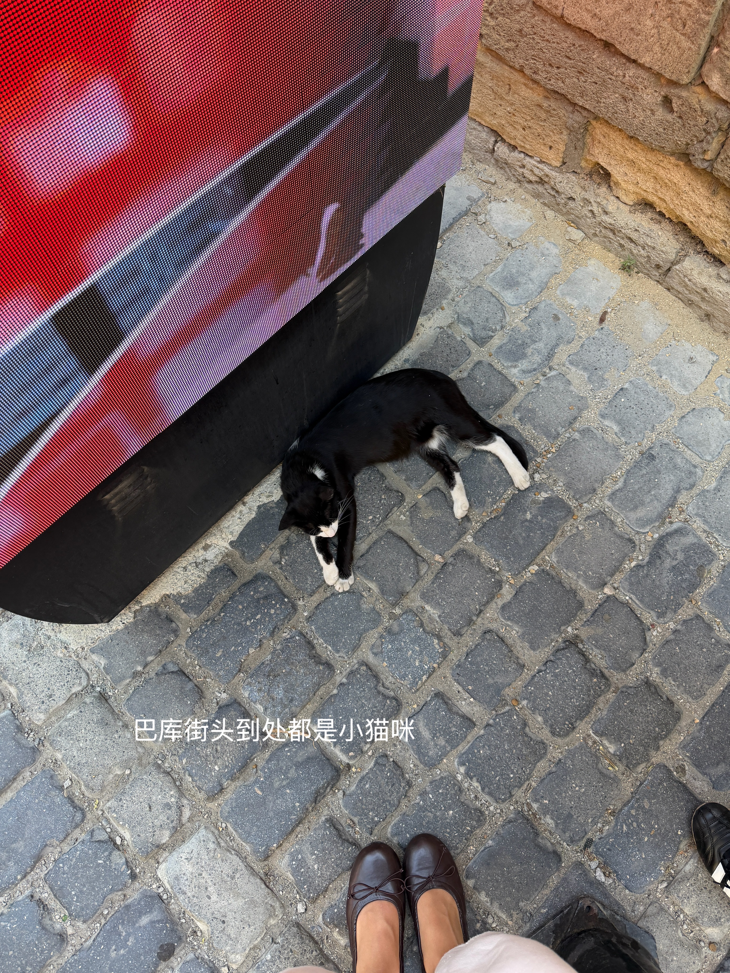旅行的意义 短暂的从自己生活的环境里抽离出来 感受不同城市 不同的人文风情 