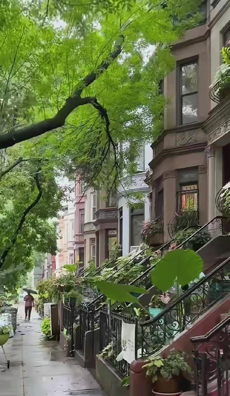 2025.1.25 光伏设备捷佳伟创发布2024年财报预报，净利润增长48%～8