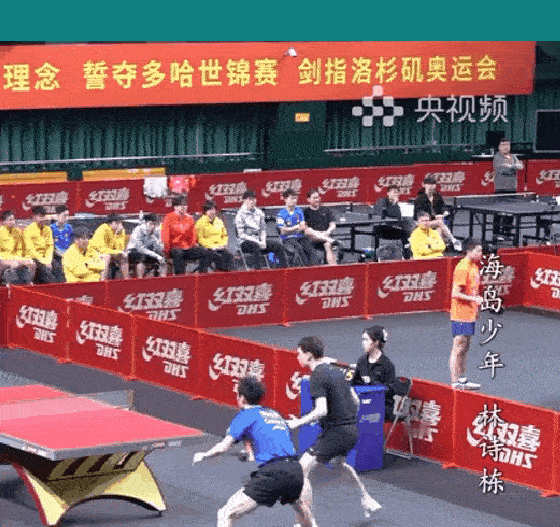这个马龙成都国乒备战世乒赛期间还和袁励岑搭档陪着打了男双队内赛 ​​​