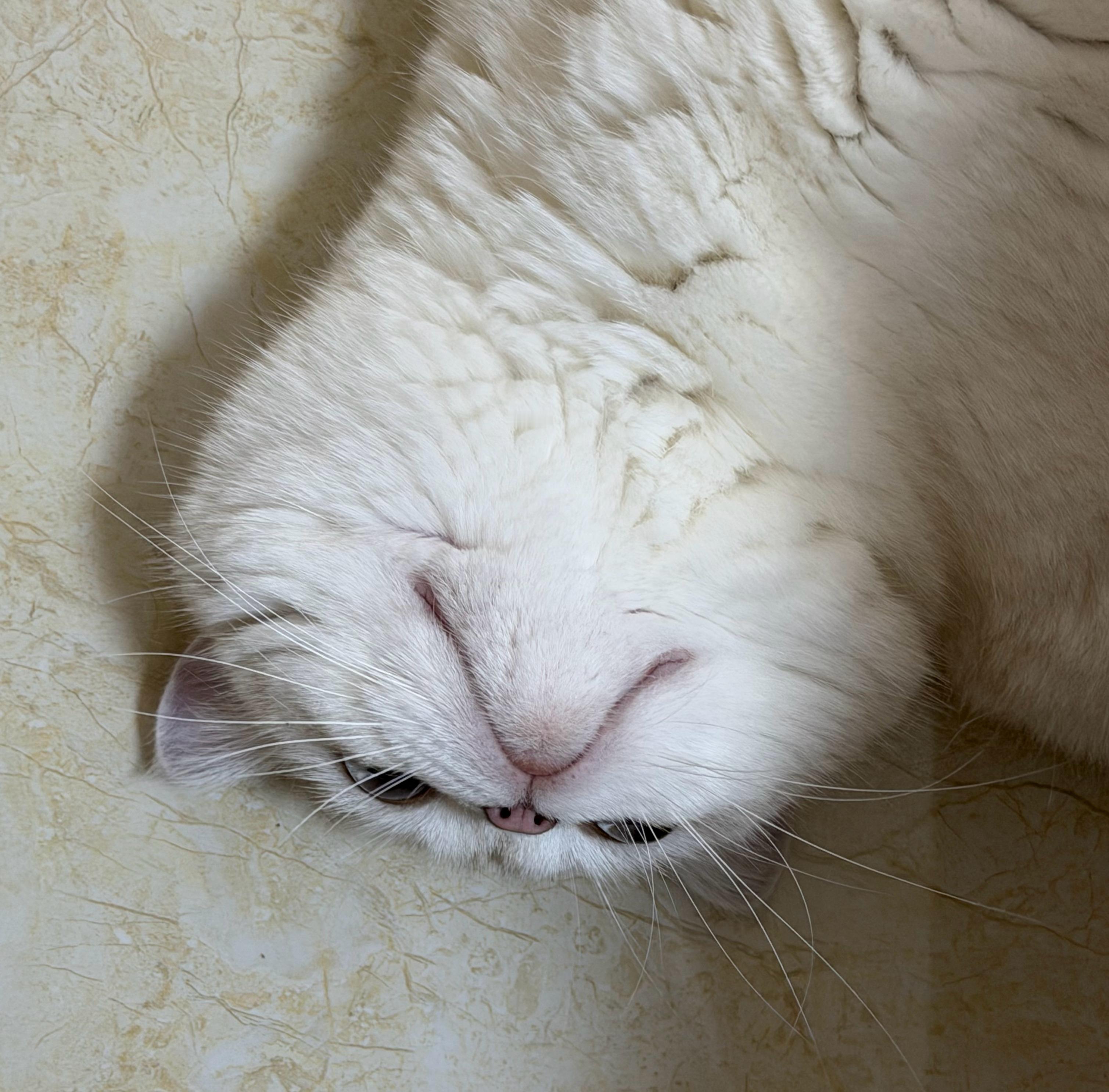 真想揍他啊 ​​​