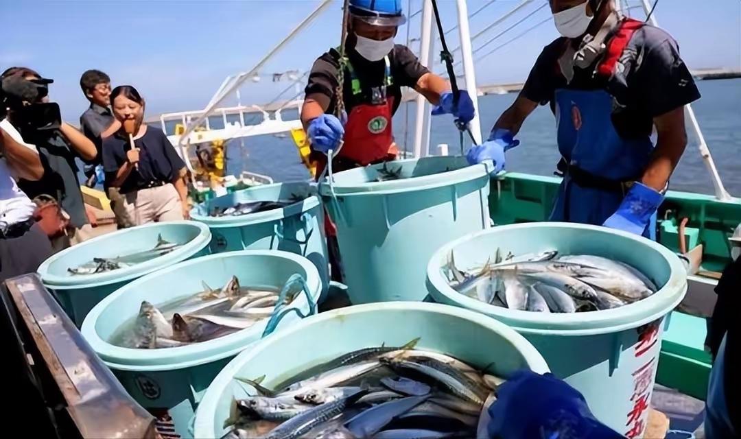 撑不下去了！21年老据点关门，日本计划关闭大连事务所！请问日本后悔不后悔？
  