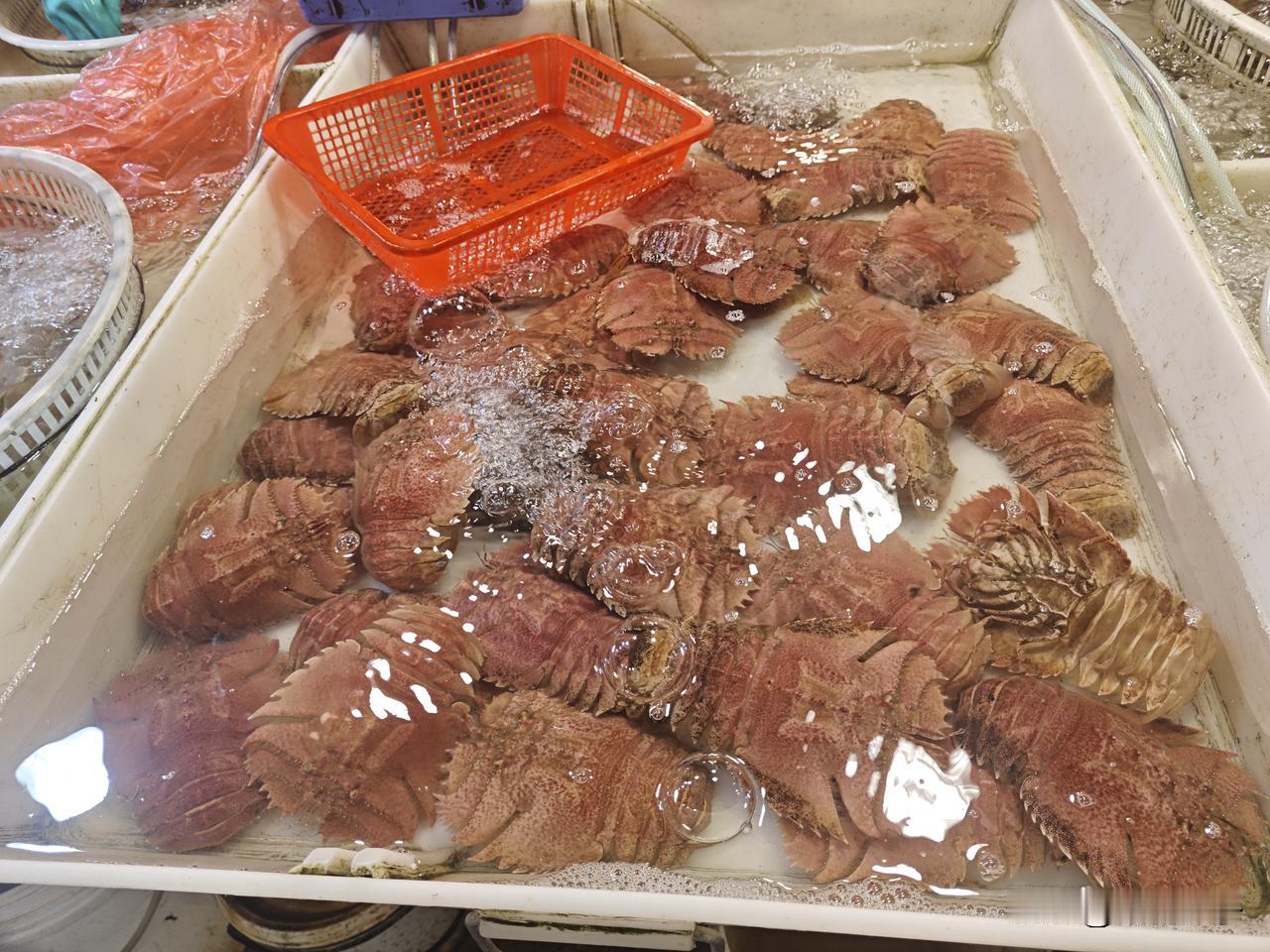 来连江农贸综合批发市场，在市场北门门口几摊油炸小吃，烟火气扑面而来，摊子上有油条