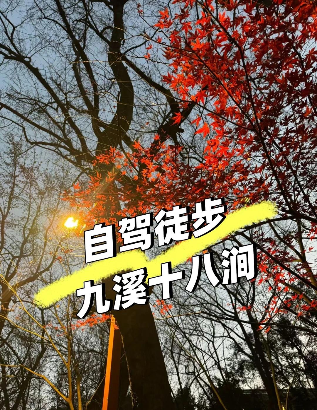 周末自驾九溪徒步｜闯入现实版绿野仙踪🌿
周末逃离城市的快乐 是九溪十八涧给的！