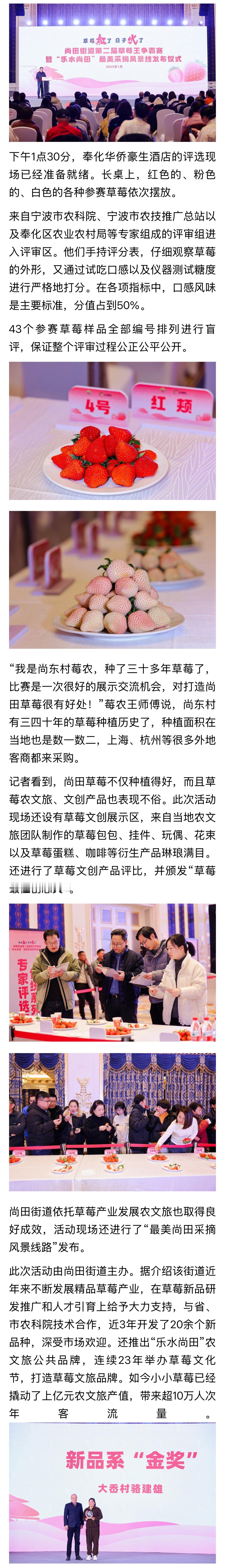 宁波奉化尚田草莓王争霸赛结果揭晓  “中国草莓之乡”奉化尚田街道举办草莓王争霸赛