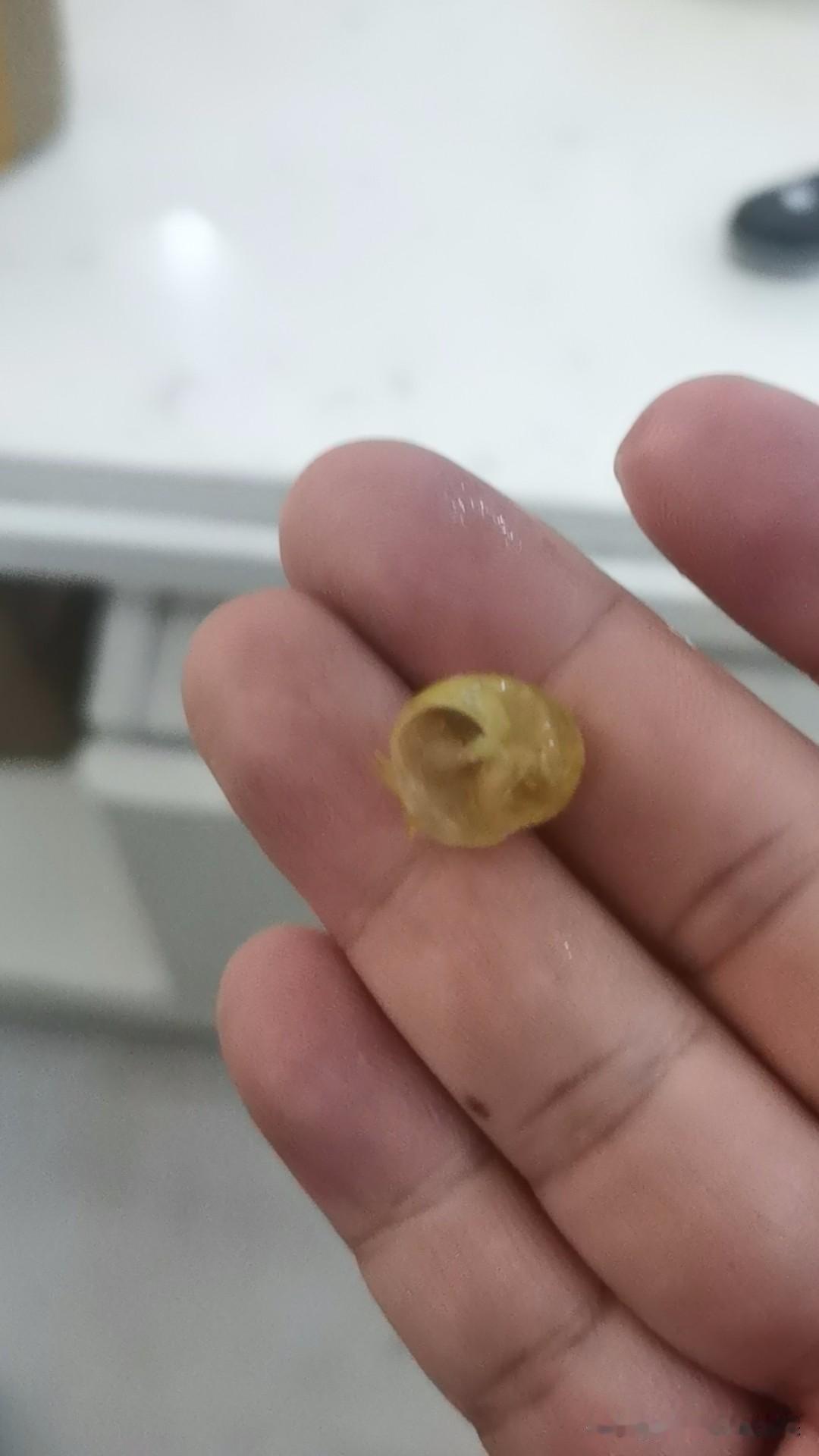 结婚十年才明白，为何父母当初一定要找一个学历对等的老婆，至少她不会思维极端，偏激