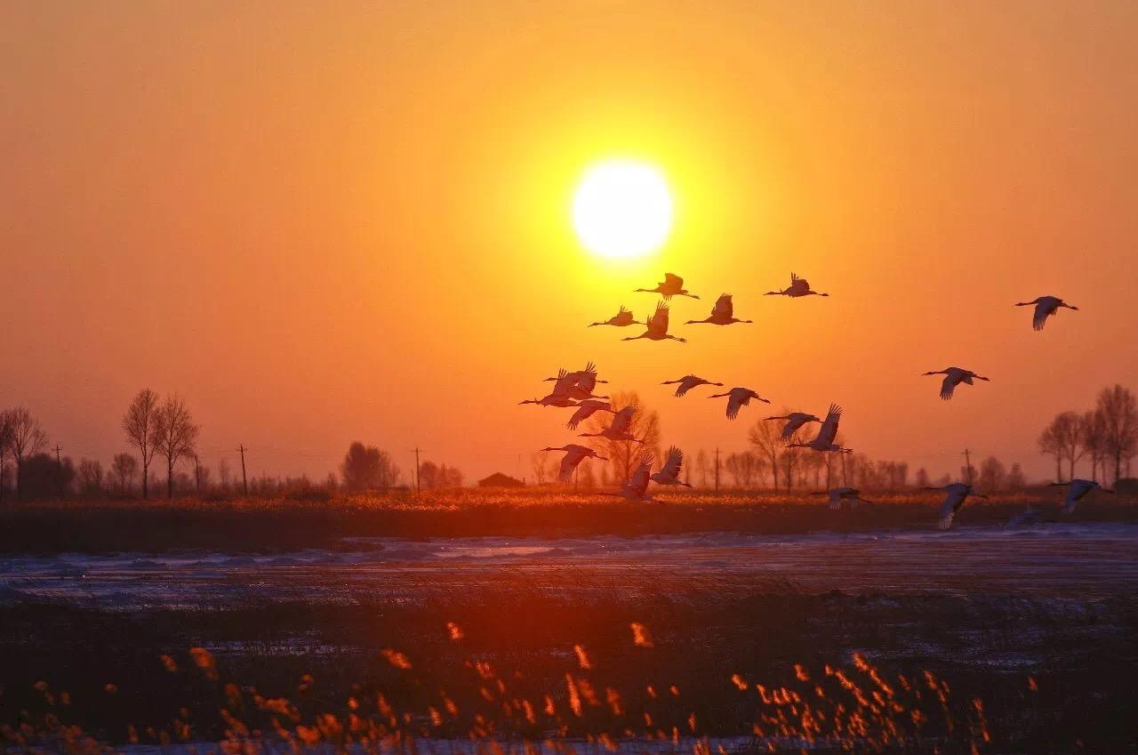 我怀疑我们都陷入了某种套路，拼命补课，追分，搞名次，进实验班，冲985，考研，买