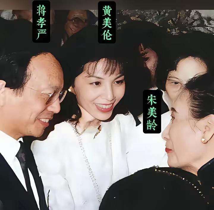 蒋孝严带妻子黄美伦拜见宋美龄，想谋求蒋家的身份认可。
宋美龄态度也很明确，可以客