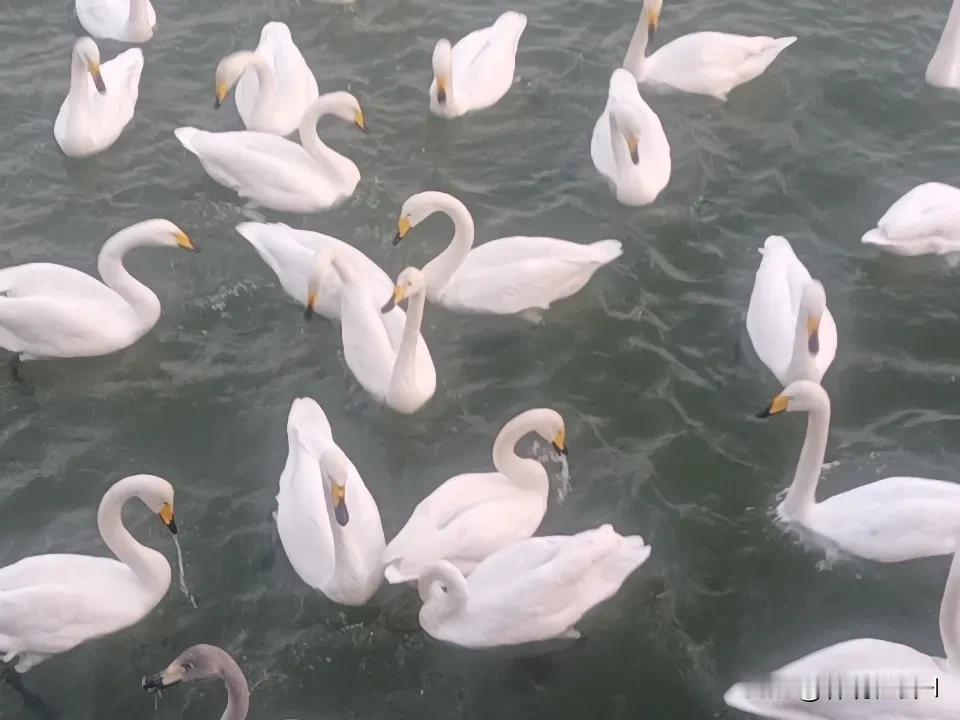 人比人，气死人，人与人确实不一样，有的人享福一辈子，有的人劳累一生；货比货，应该