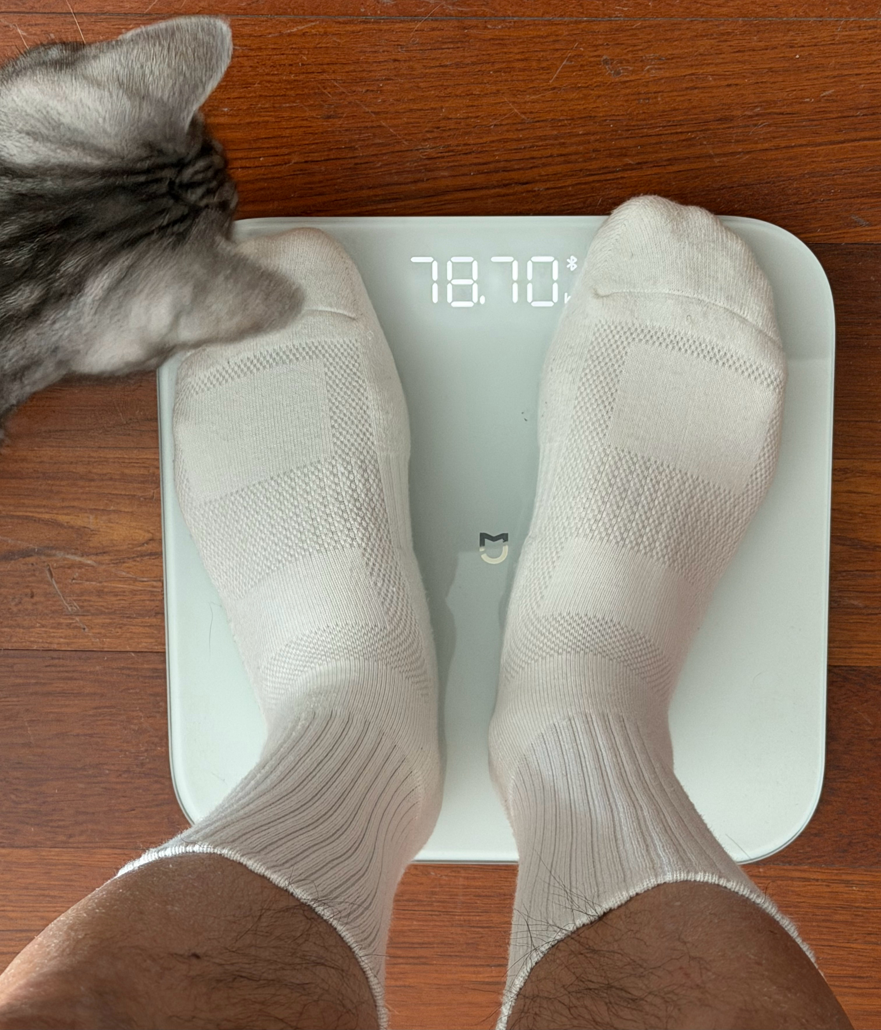 慢跑个6 公里🏃♀️，努力成果来之不易，继续巩固。 