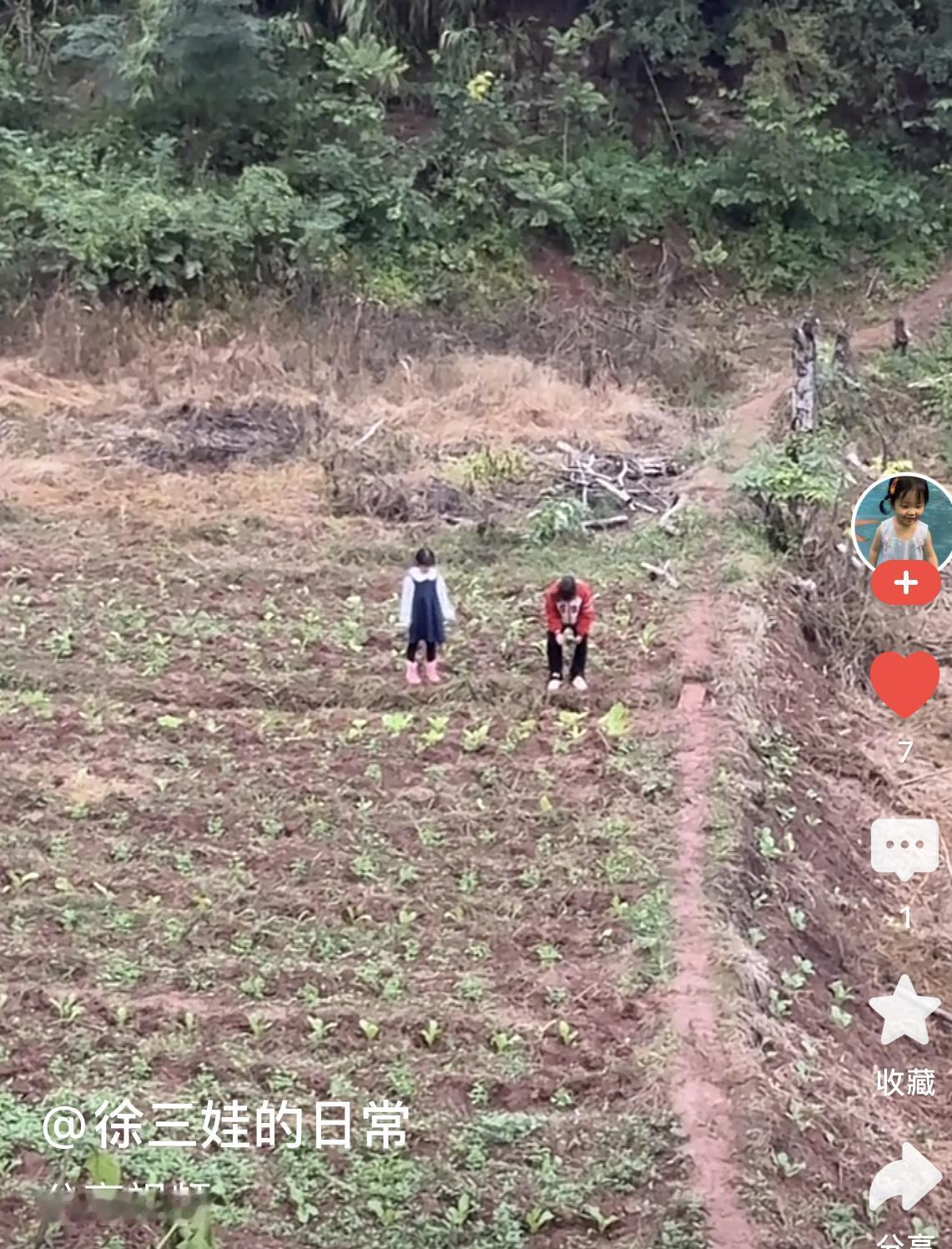 三嫂子拿着小树枝，要给徐开心完整的童年？

徐三娃在杀鸡，丈母娘在栽菜，三嫂子在