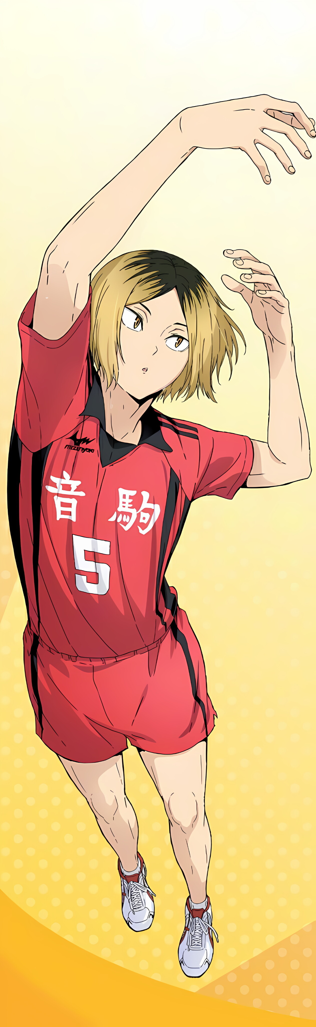 #排球少年[超话]##排球少年##孤爪研磨# 猫猫 ​​​