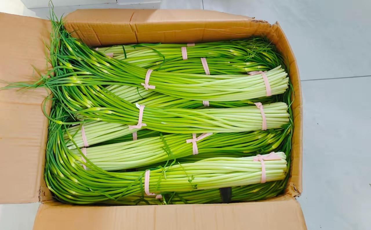 我婆婆是个特别朴实的农村老太太，一辈子省吃俭用的。
        每次给她买件