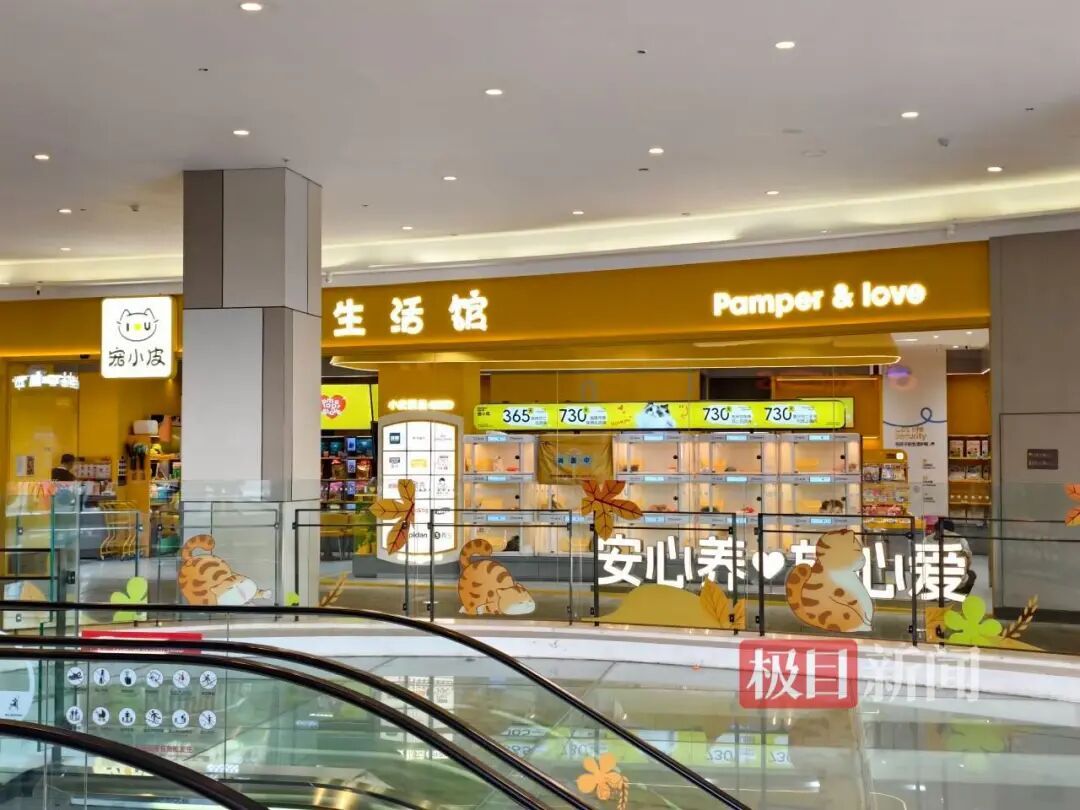 【多名宠物消费者深陷猫贷难脱身】免费领养网帖是商家引流套路 近几年，宠物经济盛行