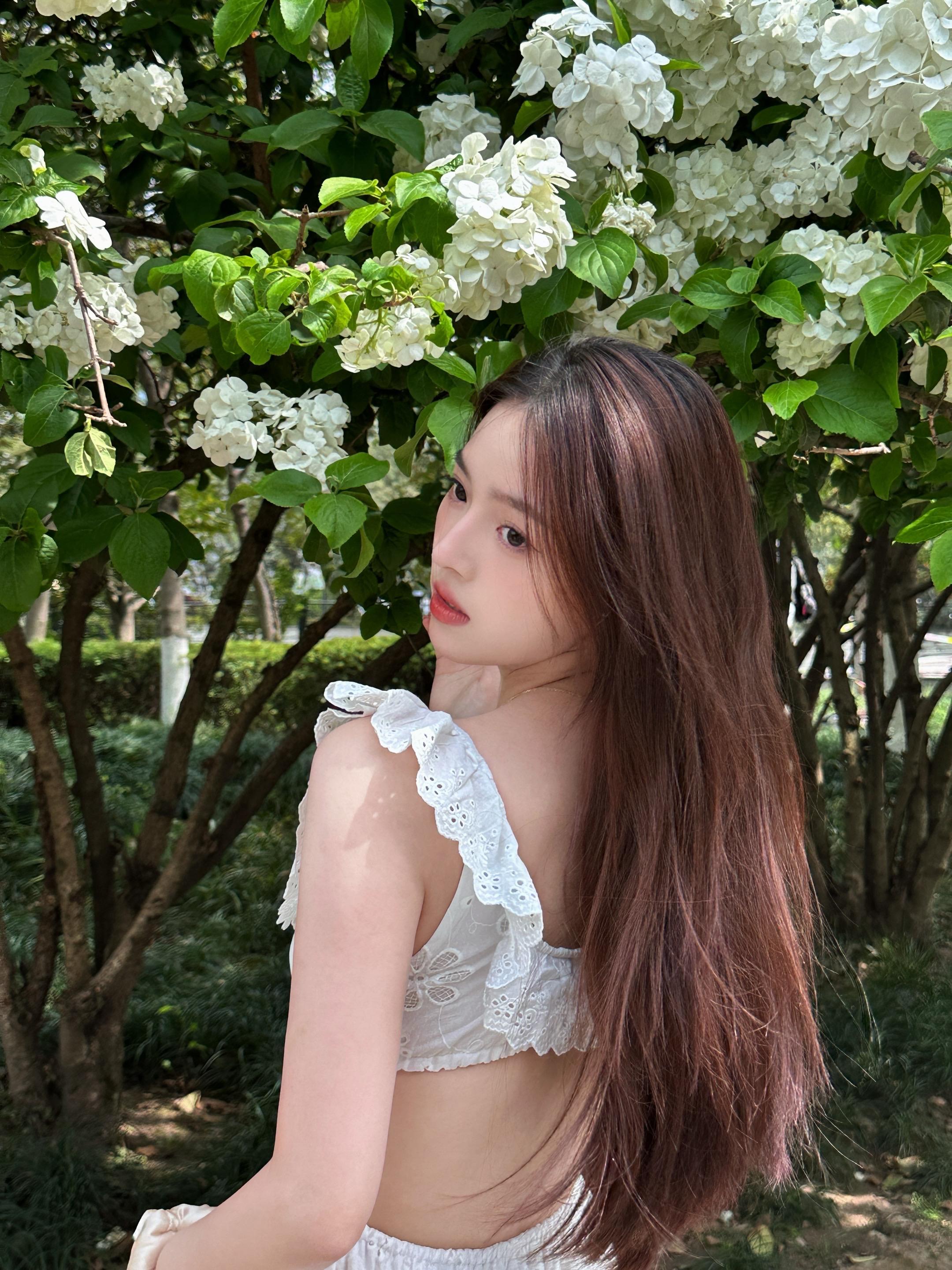 邂逅春天的木绣球