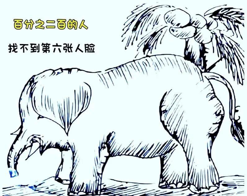 看图识脸？
大象身上藏着6张人脸，你能找到吗，快来试试你的运气吧？